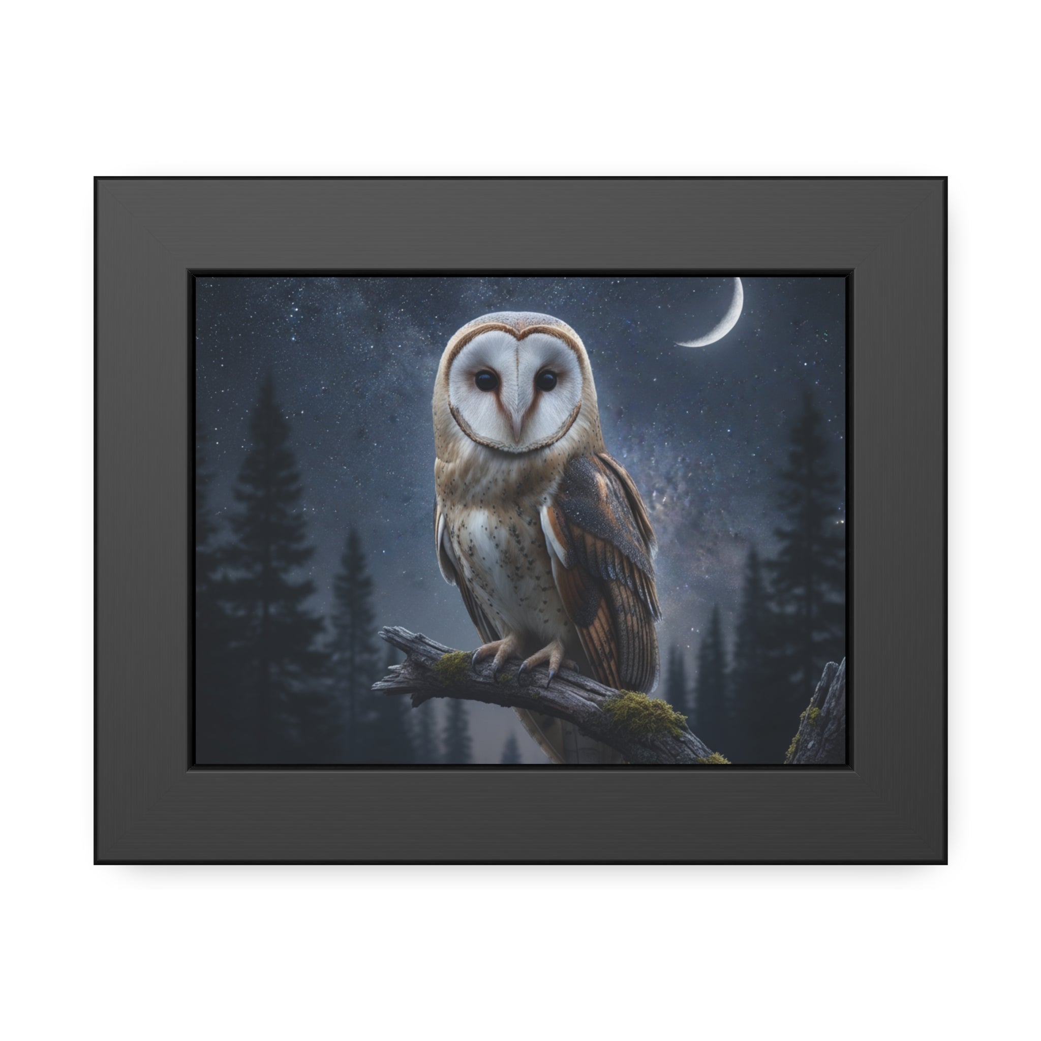 Owl Art Framed Posters, Nature Wall Art, Home Decor, Bird Lover Gift, Moonlit Forest Decor